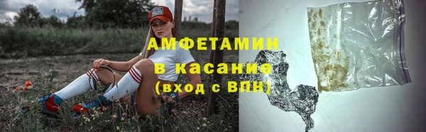 шишки Верхний Тагил